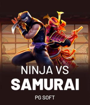 Ninja vs Samurai